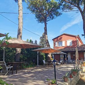 B&B Parco degli Ulivi
